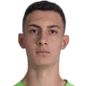 Pedro Cobra