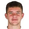 V. Manaev