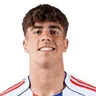 Afonso Moreira