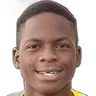 D. Atkinson