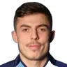 P. Sejdiu