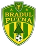 Bradul Putna