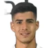 G. Collao