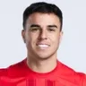 Andrigo