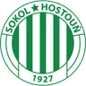 Sokol Hostouň
