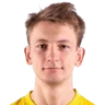 V. Vallik
