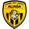Aliağa FK