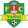 Vaslui