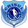 Crişul Chişineu Criş