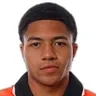 J. Palacios