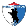 Merzifonspor