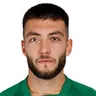D. Mitkov