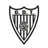 Grupo Desportivo Tourizense