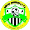 Bikita Minerals
