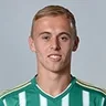 M. Hašek