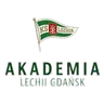 Akademia Piłkarska LG W