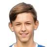 Tarik Brkic