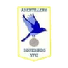Abertillery Bluebirds