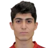 L. Bashoyan