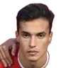 Ferran Zarzoso