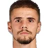 V. Naydenov