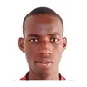L. Goudiaby