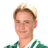 S. Herronen