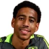 R. Fortes