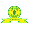 Mamelodi Sundowns Football Club W