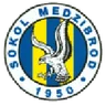 Sokol Medzibrod