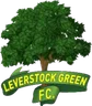 Leverstock Green