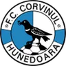 Fotbal Club Corvinul Hunedoara