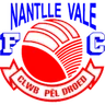 Nantlle Vale F.C.