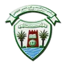 Dibba Al Hisn SC