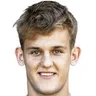 D. Tomic