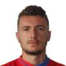 D. Pjeshka