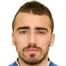 N. Gavrić