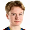 M. Hagström