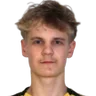 E. Kauppinen
