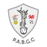Pencoed Athletic Amateur