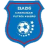 Elazığ Belediyespor FK