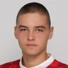 N. Đeković