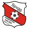 SpVgg Hankofen-Hailing