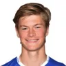 H. Falchener