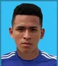 F. Ysique