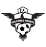 Halcones Negros