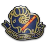 Sapporo University