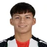 B. Araneda