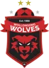 Wollongong Wolves U20