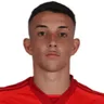 Felipe Motta